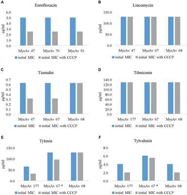 Phenotypic and genetic insights into efflux pump mechanism in Mycoplasma anserisalpingitidis